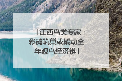 江西鸟类专家：彩鹮筑巢或撬动全年观鸟经济链