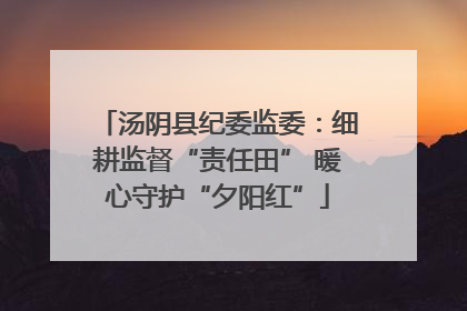 汤阴县纪委监委：细耕监督“责任田” 暖心守护“夕阳红”