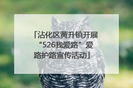 沾化区黄升镇开展“526我爱路”爱路护路宣传活动