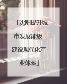 沈阳提升城市发展能级 建设现代化产业体系