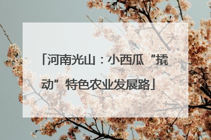 河南光山：小西瓜“撬动”特色农业发展路