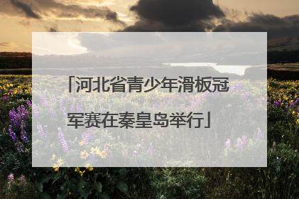 河北省青少年滑板冠军赛在秦皇岛举行