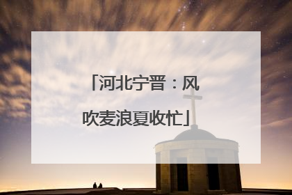 河北宁晋：风吹麦浪夏收忙