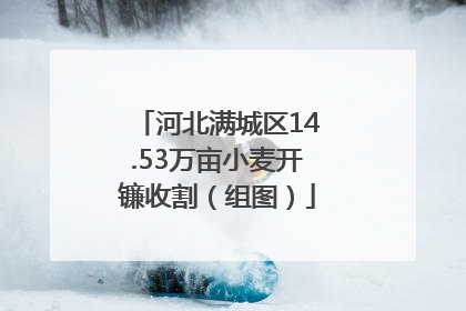 河北满城区14.53万亩小麦开镰收割（组图）