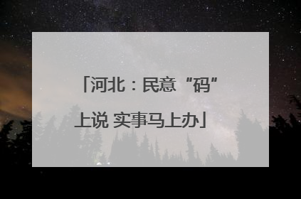 河北：民意“码”上说 实事马上办