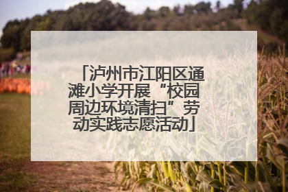 泸州市江阳区通滩小学开展“校园周边环境清扫”劳动实践志愿活动
