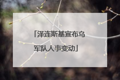 泽连斯基宣布乌军队人事变动