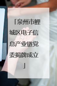泉州市鲤城区电子信息产业链党委揭牌成立