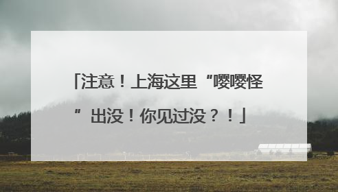 注意！上海这里“嘤嘤怪”出没！你见过没？！