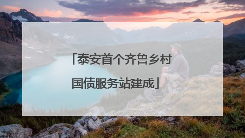泰安首个齐鲁乡村国债服务站建成