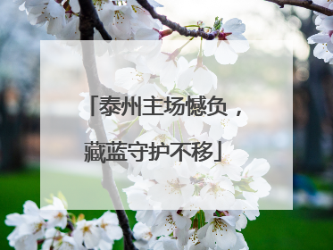 泰州主场憾负，藏蓝守护不移