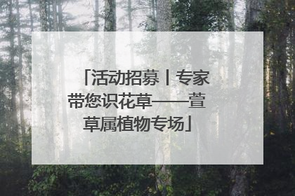 活动招募丨专家带您识花草——萱草属植物专场