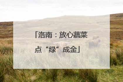 洛南：放心蔬菜点“绿”成金