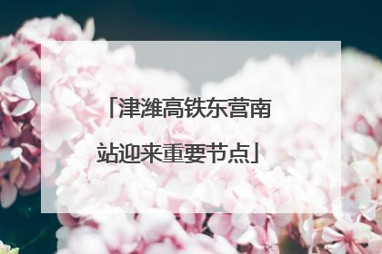 津潍高铁东营南站迎来重要节点