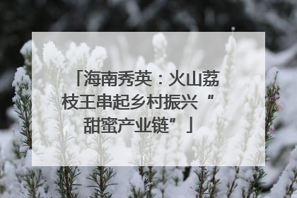 海南秀英：火山荔枝王串起乡村振兴“甜蜜产业链”