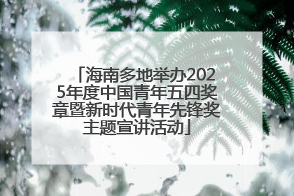 海南多地举办2025年度中国青年五四奖章暨新时代青年先锋奖主题宣讲活动