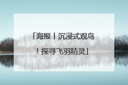 海报丨沉浸式观鸟！探寻飞羽精灵