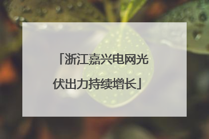 浙江嘉兴电网光伏出力持续增长