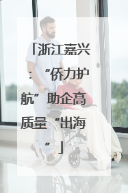浙江嘉兴：“侨力护航”助企高质量“出海”