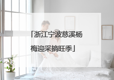 浙江宁波慈溪杨梅迎采摘旺季