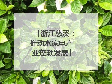 浙江慈溪：推动水家电产业蓬勃发展