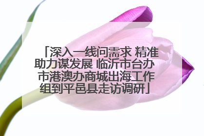 深入一线问需求 精准助力谋发展 临沂市台办 市港澳办商城出海工作组到平邑县走访调研