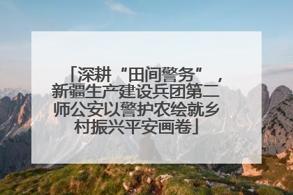 深耕“田间警务”，新疆生产建设兵团第二师公安以警护农绘就乡村振兴平安画卷