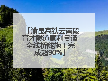 渝昆高铁云南段育才隧道顺利贯通 全线桥隧施工完成超90%