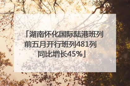 湖南怀化国际陆港班列前五月开行班列481列 同比增长45%