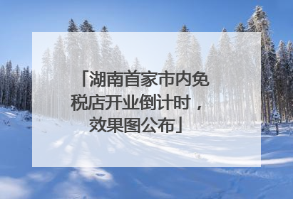湖南首家市内免税店开业倒计时，效果图公布