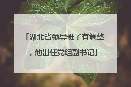 湖北省领导班子有调整，他出任党组副书记
