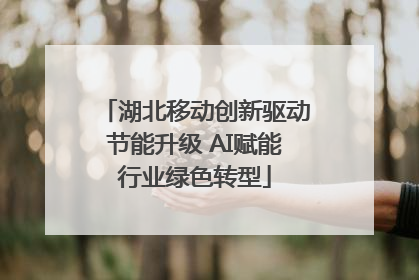 湖北移动创新驱动节能升级 AI赋能行业绿色转型