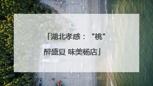 湖北孝感：“桃”醉盛夏 味美杨店