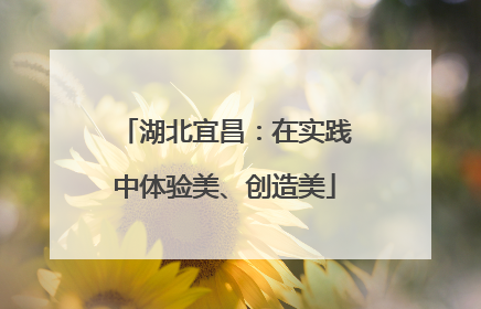 湖北宜昌：在实践中体验美、创造美