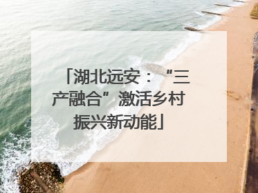 湖北远安：“三产融合”激活乡村振兴新动能