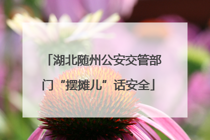 湖北随州公安交管部门“摆摊儿”话安全