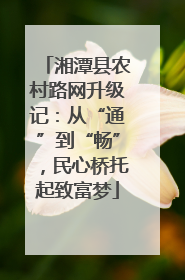 湘潭县农村路网升级记：从“通”到“畅”，民心桥托起致富梦