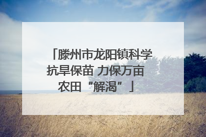 滕州市龙阳镇科学抗旱保苗 力保万亩农田“解渴”