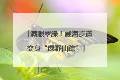 满眼翠绿！威海步道变身“绿野仙踪”