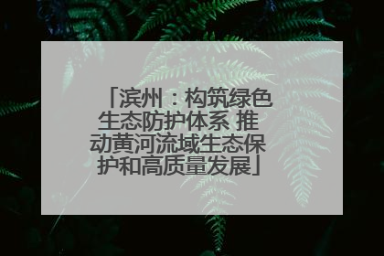 滨州：构筑绿色生态防护体系 推动黄河流域生态保护和高质量发展