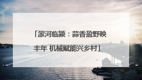 漯河临颍：蒜香盈野映丰年 机械赋能兴乡村