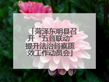 菏泽东明县召开“五督联动”提升法治督察质效工作动员会