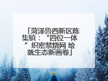 菏泽鲁西新区陈集镇：“四位一体”织密禁烧网 绘就生态新画卷