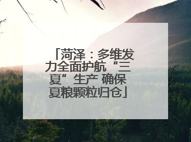 菏泽：多维发力全面护航“三夏”生产 确保夏粮颗粒归仓