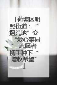 荷塘区明照街道：“撂荒地”变“爱心菜园” 志愿者携手种下“增收希望”