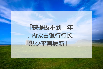 获提拔不到一年，内蒙古银行行长洪少平再履新