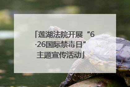 莲湖法院开展“6·26国际禁毒日”主题宣传活动