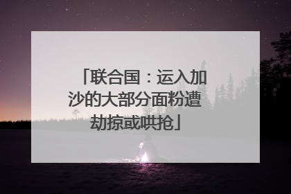 联合国：运入加沙的大部分面粉遭劫掠或哄抢