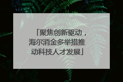 聚焦创新驱动，海尔消金多举措推动科技人才发展