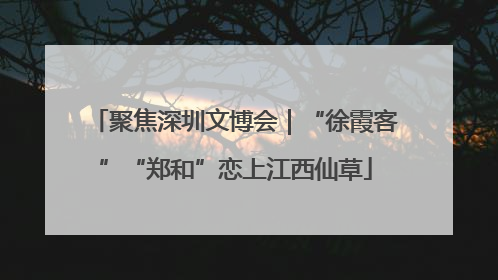 聚焦深圳文博会｜“徐霞客”“郑和”恋上江西仙草